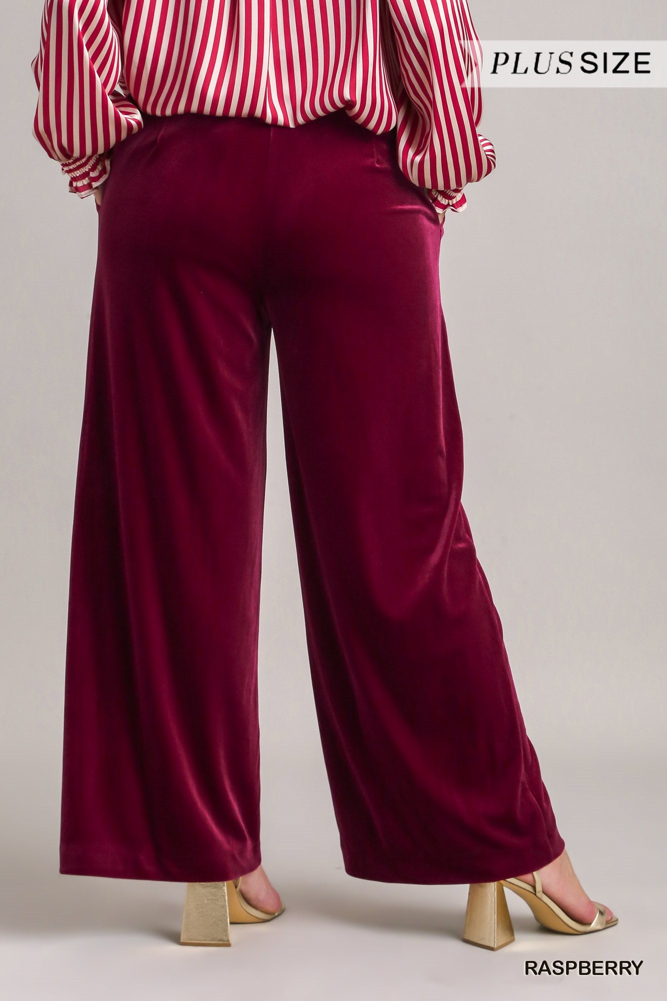 Umgee Plus Velvet High Waisted Pleated Wide Leg Pants